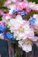 Malus and Myosotis - Apple blossom and Forget me Nots in glass vase