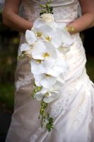 Bride holding a wedding bouquet of white moth orchids