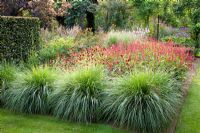 Pennisetum alopecuroides 'Hameln' and Persicaria amplexicaulis 'Firedance' in late summer border