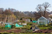Bristol allotments with view of Clifton Suspension Bridge