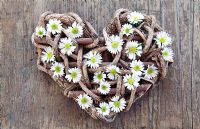 White daisy flowers in wooden heart
