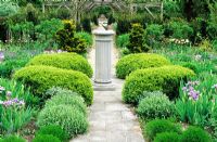 Sundial Garden. Hebe rakainensis and Iris 'Bedtime story' in border next to path - Moreton Garden, Dorset, UK
