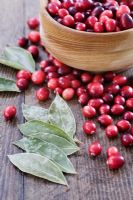 Making a Cranberry and Bay leaf decorative ring - Cranberries and bay leaves