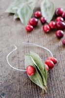 Making a Cranberry and Bay leaf decorative ring -  thread the cranberries on to the wire either side of the bay leaves 