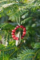 Making a Cranberry and Bay leaf decorative ring - finished decoration hanging from a tree with ribbon