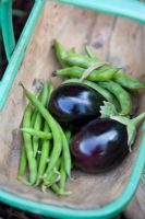 Peas, Beans and Aubergines in a trug