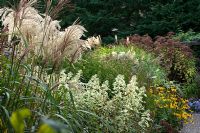 Autumn colour in border in with Miscanthus. Republic of Ireland, October
