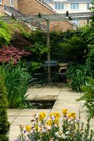 Small urban garden with rectangular pond, seating area and pergola - NGS garden, Foster Road, Peterborough, Cambridgeshire