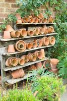 Shelves of terracotta pots