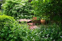 Cafe style table and chairs in secluded shady garden, planting of Viburnum plicatum 'Mariesii' and Geranium, empty terracotta urn as focal point - The White House, Keyworth, Nottinghamshire