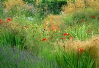 Late summer garden of grasses and perennials