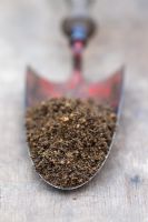 Soil sample on tip of garden trowel -  Sandy soil