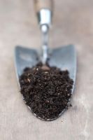 Soil sample on tip of garden trowel - Loam