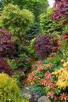 Stream through oriental style garden bordered by Acers, Ferns, Azalea and Pieris. Newton garden, Walsall, UK 