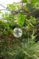 Glass sphere ball sound speaker in border with Musa basjoo. Yulia Badian garden, London, UK 