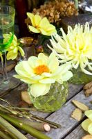Yellow Dahlias in small glass bowls