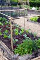 Netted greens in raised bed