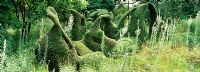 Sculptural Taxus - Yew and Buxus - Box topiary inspired by Henry Moore with naturalistic perennial planting at Priona designed by Henk Gerritsen, Netherlands