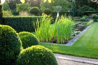 Formal garden with pond and Buxus - Box balls