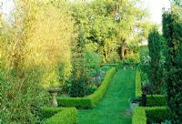 Sloping path with hot coloured borders edged with low Buxus - Box hedges. Late Spring, Fovant Hut Garden, Wilts.