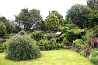 Lawn and borders. Plants include Rhus - Sumac and Digitalis. Mill Dene Garden, June