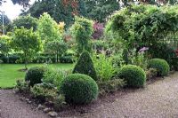 Bed of Buxus topiary balls and Pyramids next to gravel path. Millennium Garden, Lichfield NGS