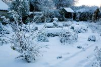 Snowy garden with Box hedges and flint fountain. Lonicera x purpusii in foreground, well, bird table and brick shed in background