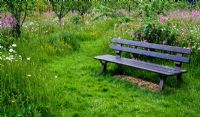 Wooden bench in wildflower meadow. Flowers include  Leucanthemum vulgare - Ox-eye Daisy, Silene dioica - Red Campion, and Rhinanthus minor - Yellow Rattle