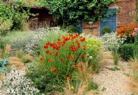 Gravel garden in late summer with perennials and grasses - Helenium, Eryngium and Euphorbia