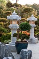 Acer palmatum 'Dissectum', Juniperus and Pinus sylvestris planting with stone lanterns with Bonsai in a Japanese Garden 