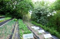 Small allotment on steeply sloping terraced site