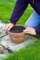 Covering a pot with wire mesh to avoid squirrels digging up bulbs