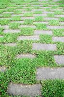 Paving stones with grass