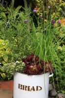 Chives, rosemary, variegated thyme and Lettuce 'Lollo Rossa' growing in an old enamel bread bin
