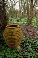 A greek urn in the woodland garden - Pembury House Gardens, Sussex 