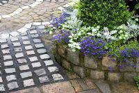 Path and wall made of small reclaimed cobbles and raised bed with Lobelia, Cineraria, Lamium and Buxus -  Brocklebank Road, Southport, Lancashire NGS 
