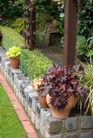 Buxus clipped hedge on wall made from reclaimed cobbles with pots of Heuchera 'Lime Rickey', 'Kassandra' and 'Cappuccino' - Brocklebank Road, Southport, Lancashire NGS 
