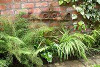 Old brick wall and metal gate with Dryopteris filix- mas 'Linearis Polydactyla', Cyrtomium fortunei- Japanese Holly Fern, Monbretia and Hedera - Brocklebank Road, Southport, Lancashire NGS 
