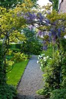View through a Wisteria arch to a stone bench and topiary at the end of a gravel path. Other planting includes Lathyrus vernus, Mahonia, Paeonia suffruticosa, Persicaria bistorta, Syringa vulgaris and Wisteria sinensis - The Manor House, Germany
