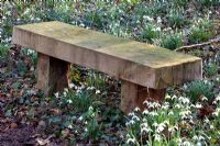Simple wooden bench - Pembury House