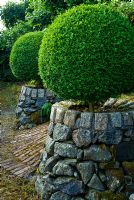 Built stone containers with clipped Buxus - Box frame a brick path into Tiara garden. Caervallack Farm, St Martin, Helston, Cornwall, UK