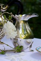 Antique silver milk jug and Rosa 'Tall Story' 