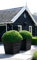 Buxus in containers - Villa at Vecht in Holland 
