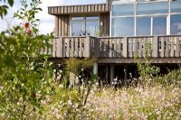 View through a nature inspired planting of Gaura lindheimeri to a balcony and wooden house