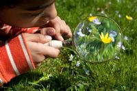 Boy inspecting flowers with a magnifying glass