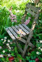 Child's garden seat in polyanthus bed