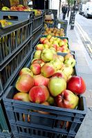 Heritage Apples, variety unknown, for sale in an urban street Covent Garden London UK