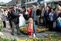 Man with little girl buying colourful Primula - Primrose in Columbia Road Flower Market, Tower Hamlets East London UK