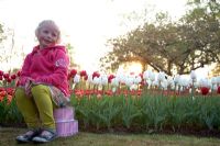Girl sitting on suitcases in front of tulips