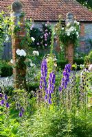Brick pillars in farmyard garden planted with Rosa 'Iceberg' and Clematis with herbaceous plants including Lupins, Digitalis - Foxgloves, Aconitum and many varieties of hardy Geranium. Dorset, UK 
